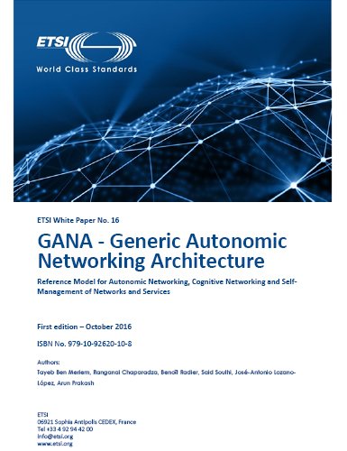 Whitepaper on GANA