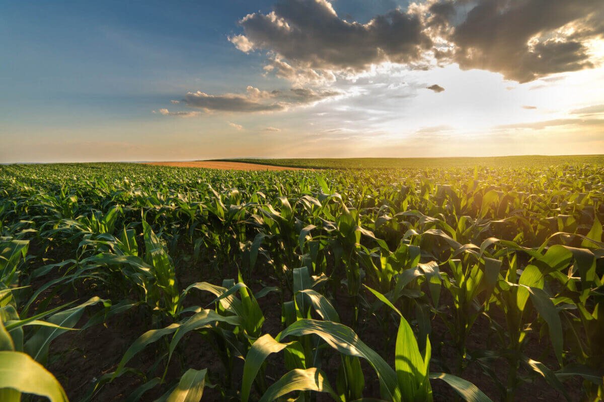 AgTech Trends 2023 Survey: Agriculture Industry Demand Rising Sharply for AI, Automation and Advanced Data Analytics