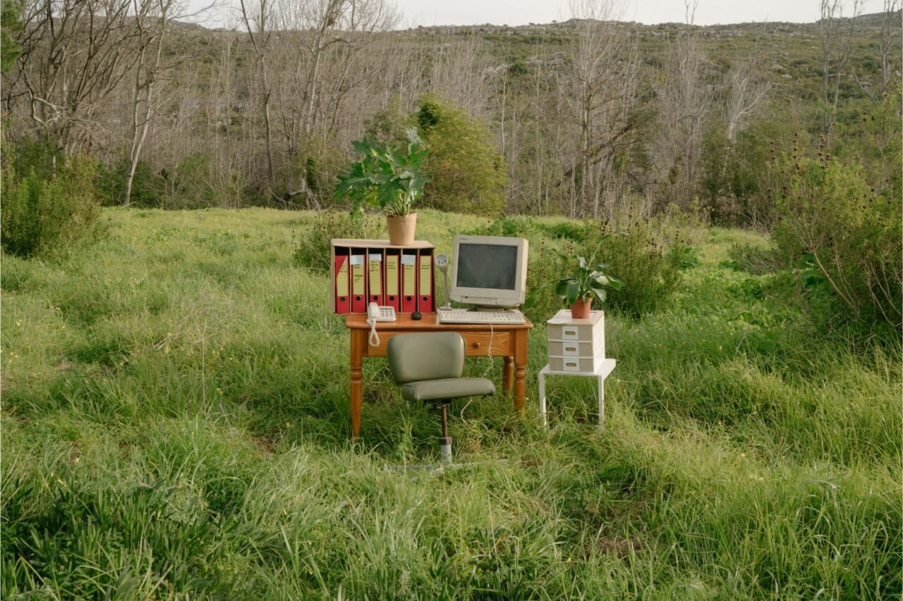 Remote Work Opportunities