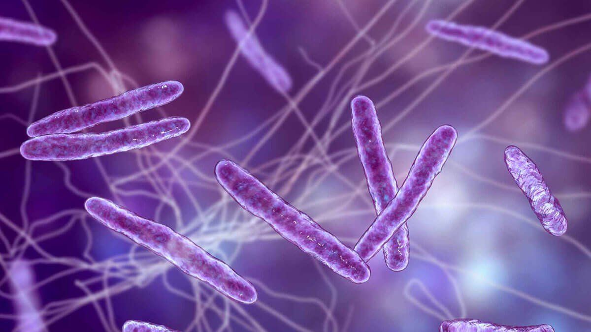 City microbes surviving on disinfectants, research reveals