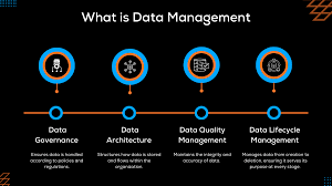 Data Management Strategy