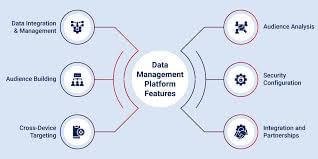 what is a data management platform 