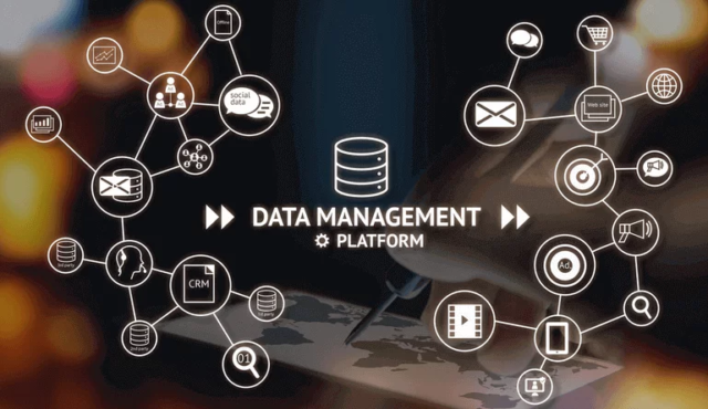 The Database Management Platforms 2025 